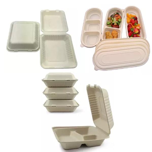 Biodegradable Packaging Box