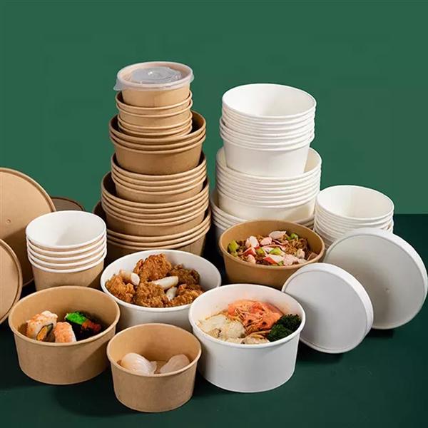 Custom Paper Bowl Eco Friendly Disposable Double Ripple Wall Bowl Biodegradable Round Paper Soup Bowl With Lid