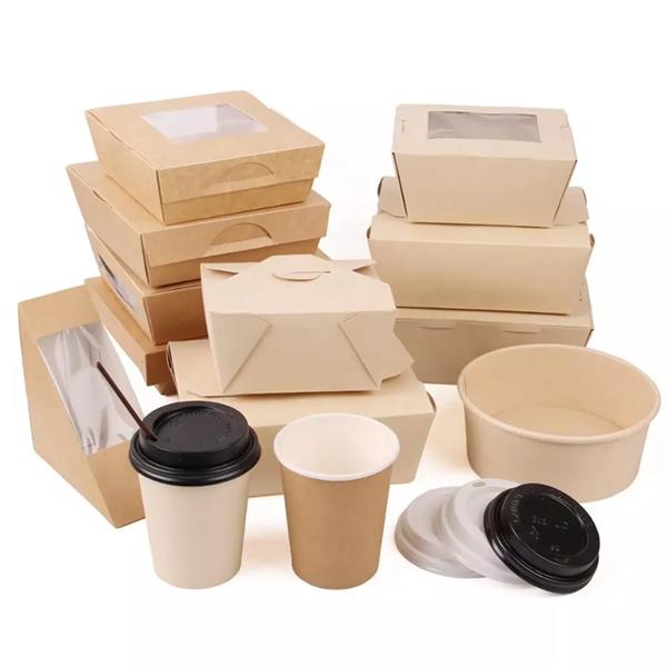 New style take away box PLA paper packaging biodegradables bamboo pulp paper box