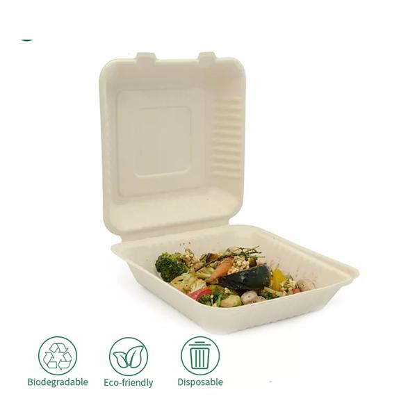 100% biodegradable disposable bagasse food container packaging lunch box